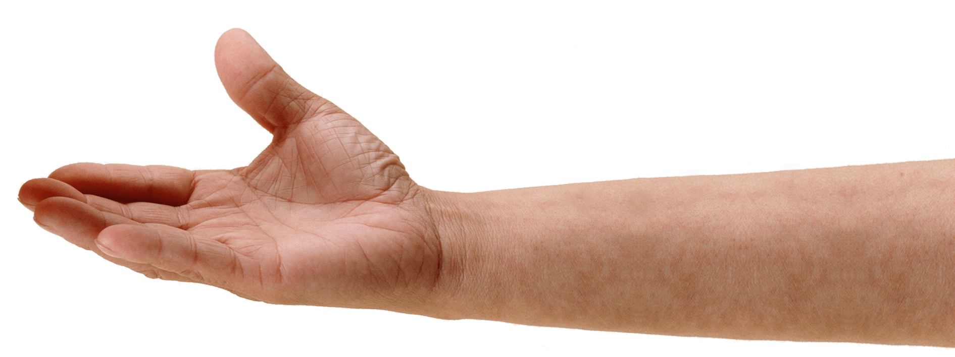 Hand PNG Images HD - PNG All