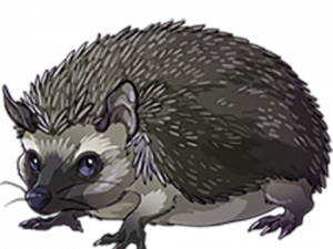 Hedgehog PNG