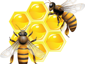 Honey PNG File