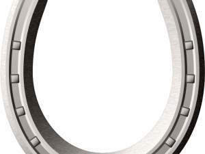 Horseshoe PNG HD Image