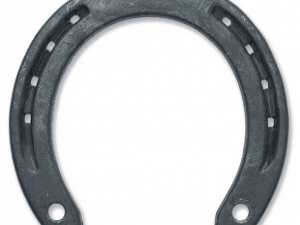 Horseshoe PNG Picture