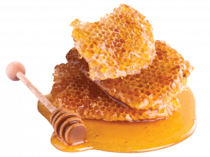 Pure Honey No Background