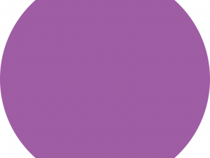 Purple PNG Photos