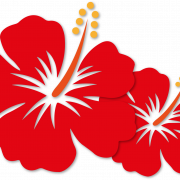 Recorte de png de hibisco vermelho