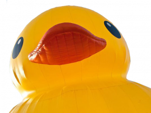 Rubber Duck