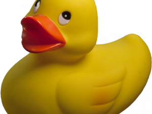 Rubber Duck PNG Background