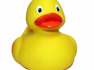 Rubber Duck PNG File