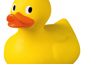 Rubber Duck PNG HD Image