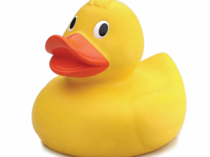 Rubber Duck PNG Image File