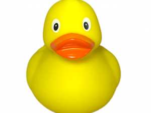 Rubber Duck PNG Images