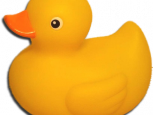 Rubber Duck PNG Images HD