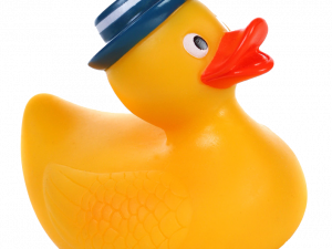 Rubber Duck PNG Photos