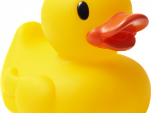 Rubber Duck PNG Pic