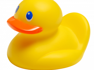 Rubber Duck Transparent