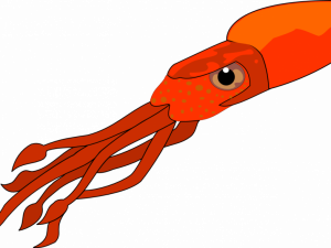 Squid Reef Creature PNG Free Image