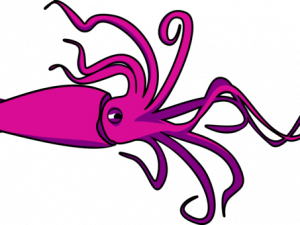 Squid Reef Creature PNG Image HD