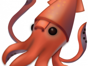 Squid Reef Creature PNG Picture