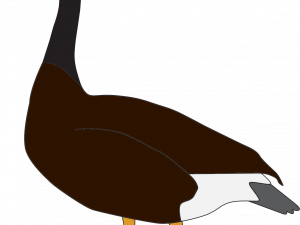 Vector Goose