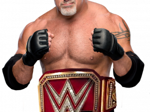 WWE Wrestler PNG Picture