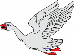 White Goose PNG Photo