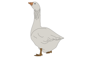 White Goose PNG Pic