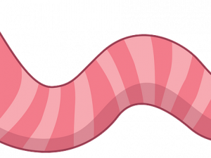 Worms Game PNG