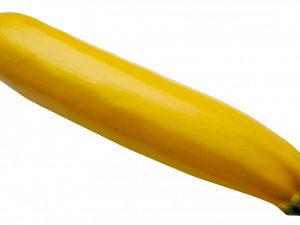 Zucchini Summer Squash PNG Picture