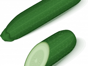 Zucchini Summer Squash Transparent