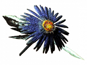 Aster Flower PNG HD Image