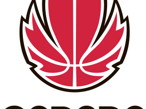 Basketball Team PNG Images