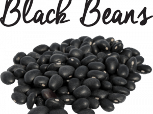 Black Beans No Background