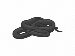 Black Mamba PNG Image