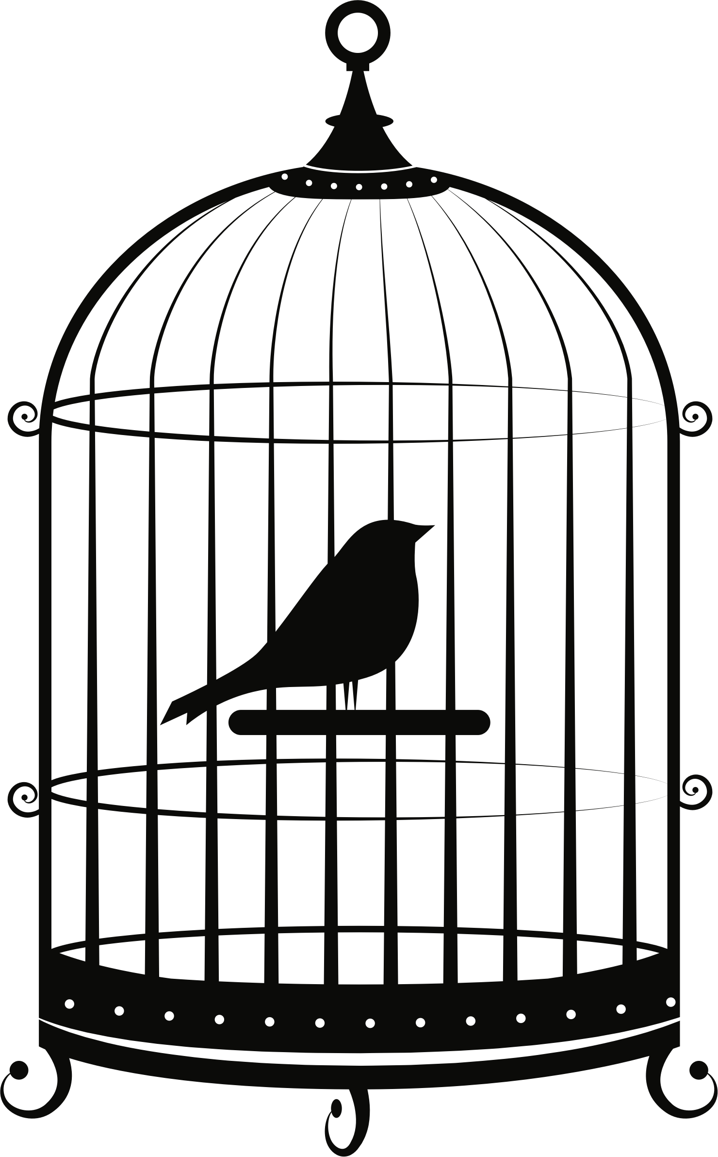 Cage PNG Image HD