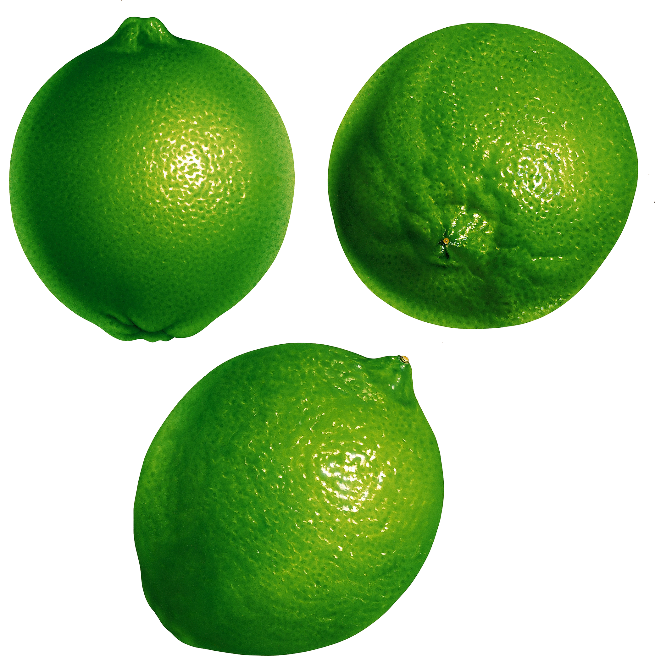 ภาพ PNG มะนาว Citrus