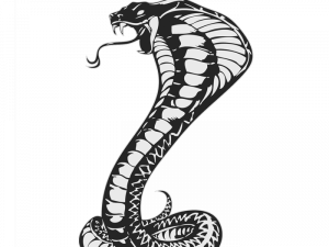 Cobra Animal PNG