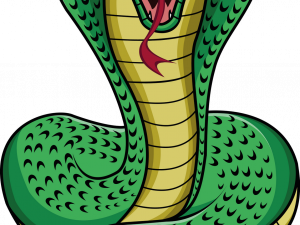 Cobra Background PNG