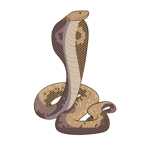 Cobra, 3d Snake, Snake 3d png transparente grátis