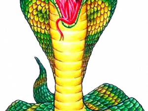 Cobra Viper PNG File