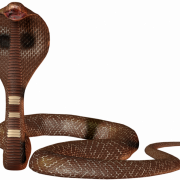 Cobra Viper PNG Pic