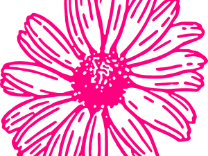 Gerbera Flower PNG Photo