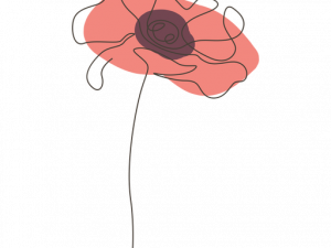 Gerbera PNG Free Image