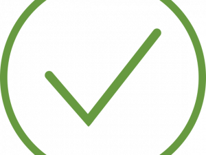 Green Check PNG Image HD