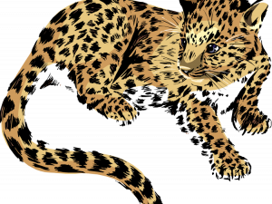 Jaguar Animal PNG