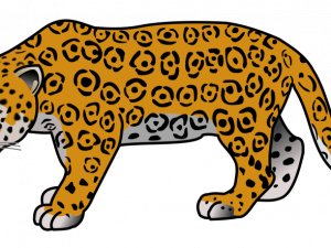 Jaguar Animal PNG Background