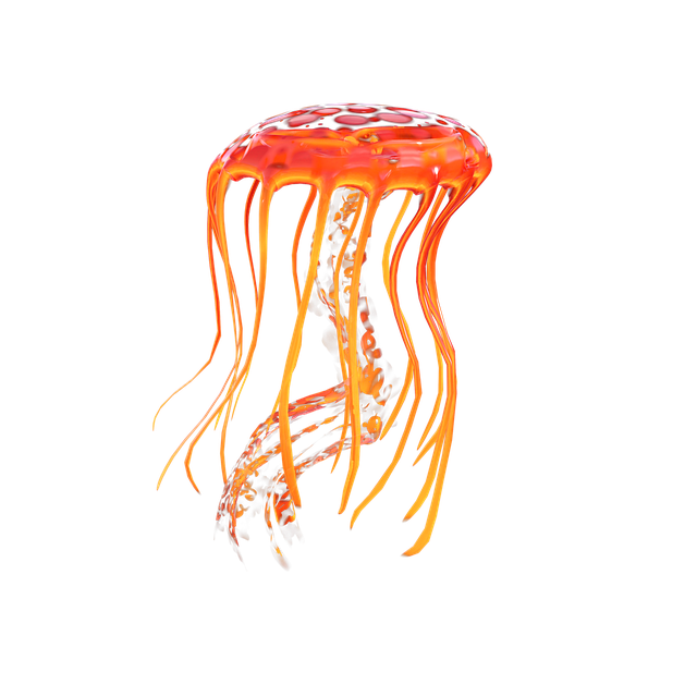 transparent jellyfish