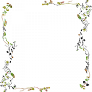 Imagens de borda da estrutura da folha
