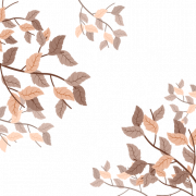 Quadro da folha transparente