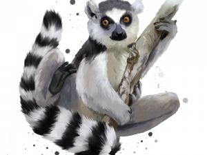 Lemur PNG Images