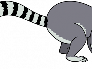 Lemur Vector PNG Cutout