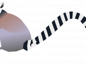 Lemur Vector PNG Photo